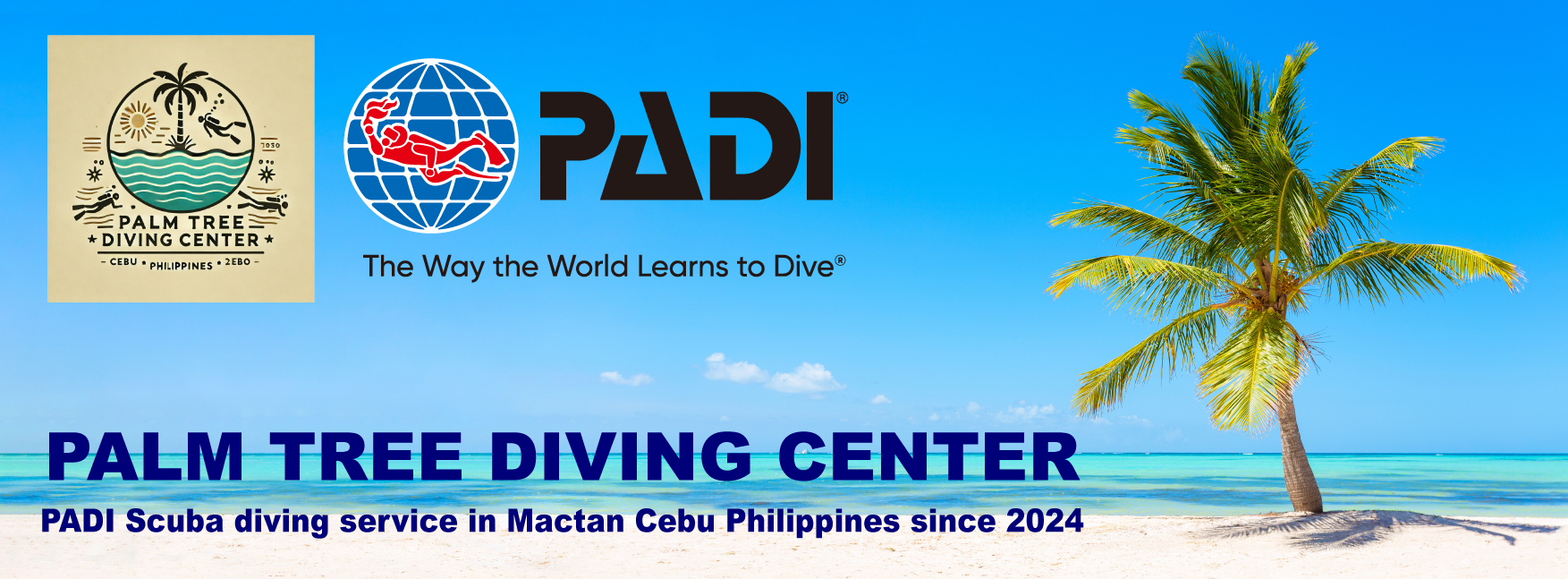 Palm Tree Diving Center